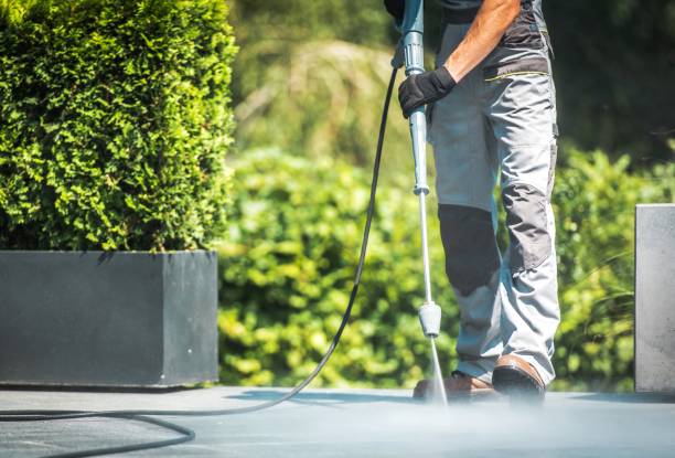 Best Residential Pressure Washing in Parksdale, CA